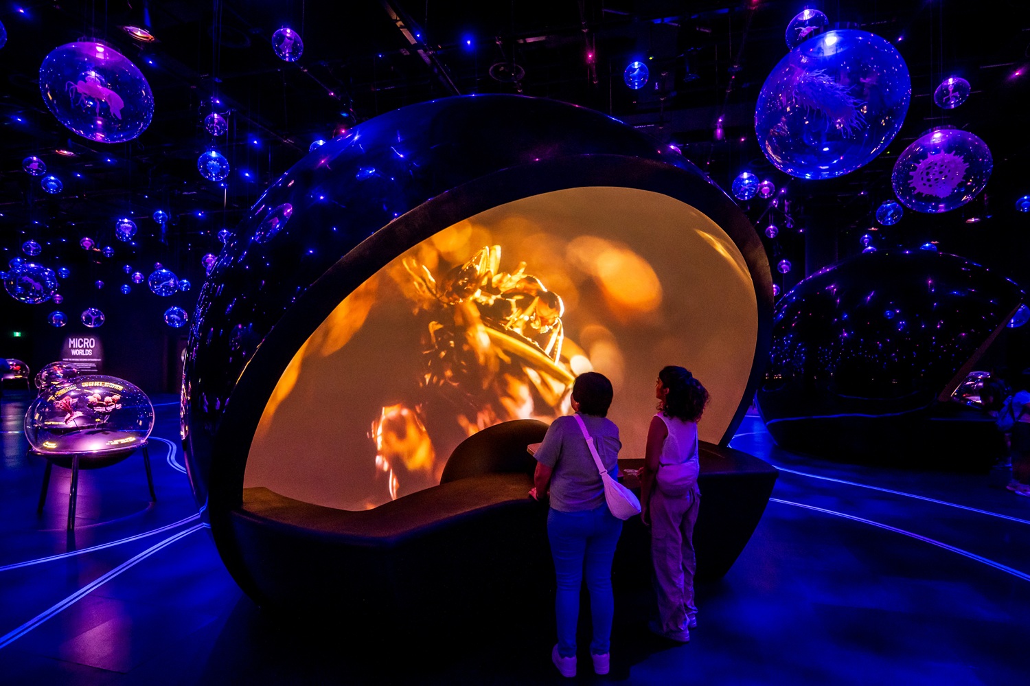 Photograph of 2 people at a museum observing a spherical projection of zoomed-in insects.